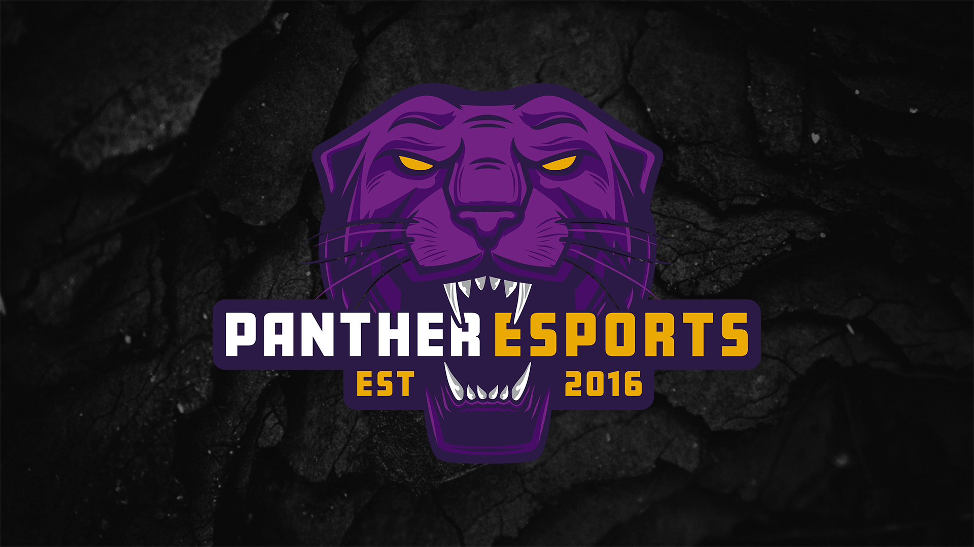Panther Esports logo with black rock background